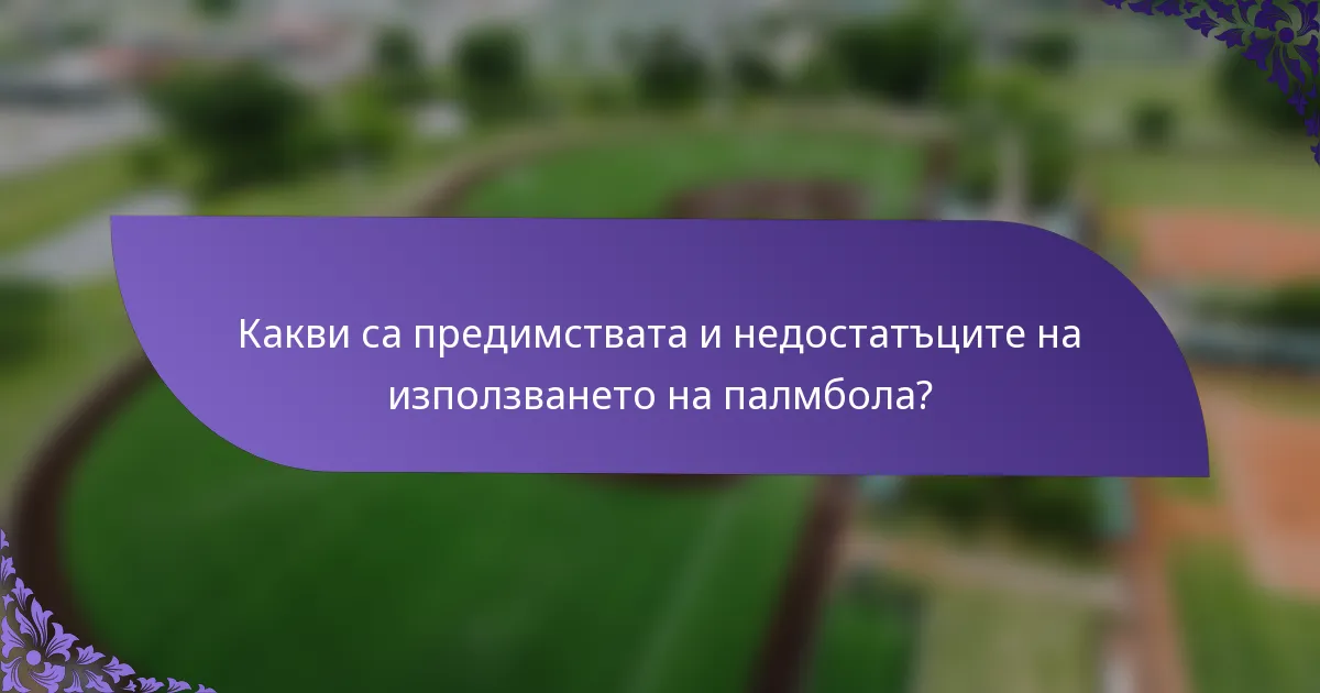 Какви са предимствата и недостатъците на използването на палмбола?