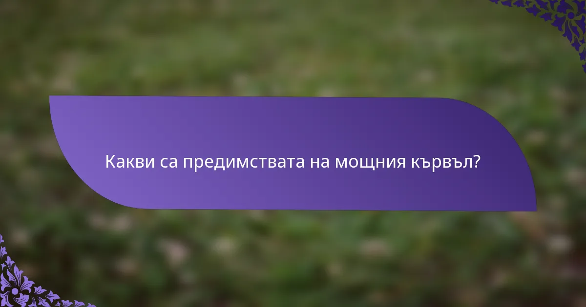Какви са предимствата на мощния кървъл?